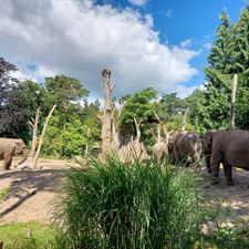 DierenPark Amersfoort