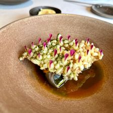 restaurant YANO