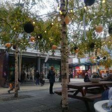 Pearle Opticiens Rijswijk - Pr. Willem Alexander Promenade