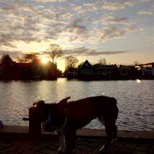 DekaMarkt Zaandam