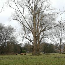 Restaurant Landgoed Groenendaal