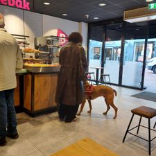 Bakker Bart Eindhoven Demer