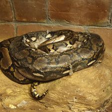 Dierenpark de Oliemeulen