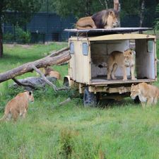 Safaripark Beekse Bergen