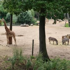 Burgers' Zoo