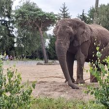 Safaripark Beekse Bergen