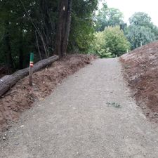 Ingendael