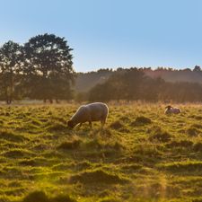 Landal Landgoed Aerwinkel