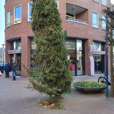 Bakker Bart Epe