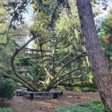 TU Delft Hortus Botanicus