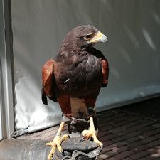 Dierenpark de Oliemeulen