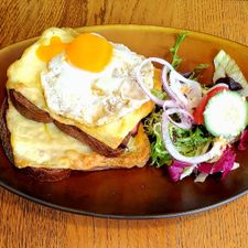 Lunch Den Bosch Bagatelle