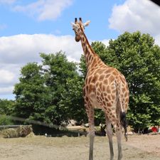 Safaripark Beekse Bergen
