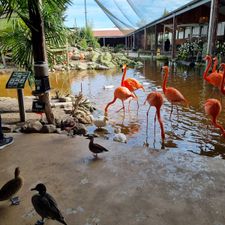 Pantropica (voorheen de Orchideeën Hoeve)