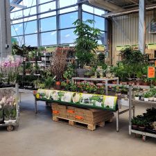 HORNBACH
