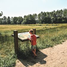 Witte Berken Natuurhotel