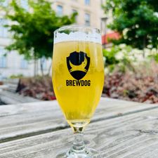 BrewDog Rotterdam