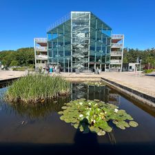 P1 - Rijnstate