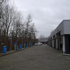 Argos Gouda