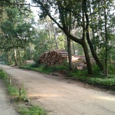 de Herkenbosche
