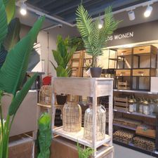 Xenos Noordwijk