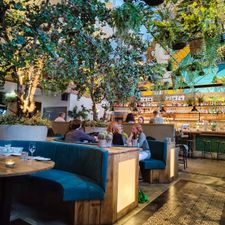 Bar & Restaurant Suzie Q