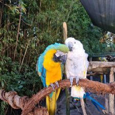 Dierenpark de Oliemeulen