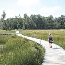 Witte Berken Natuurhotel