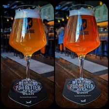 BrewDog Rotterdam