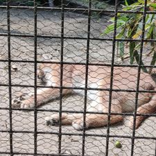 Dierenpark de Oliemeulen