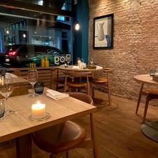 Bøg