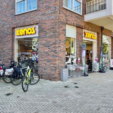 Xenos Sassenheim