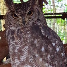 Dierenpark de Oliemeulen