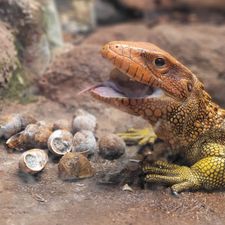 Dierenpark de Oliemeulen