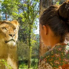 DierenPark Amersfoort