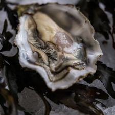 Salty Seafood Restaurant
