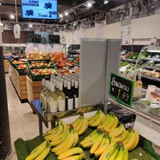 Xenos Soest