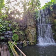 Burgers' Zoo