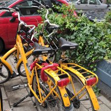 Bicycle hotel, 5% discount if you book directly