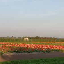 haan tankstation Ouddorp