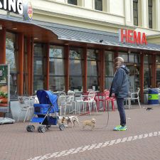 HEMA