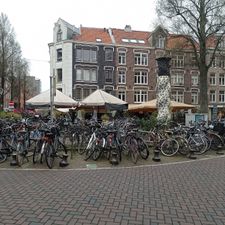 Het Paardje | Bar, Bistro & Restaurant in De Pijp