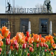 Villa Augustus – Hotel Restaurant Dordrecht