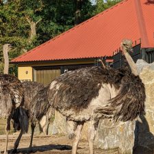 Safaripark Beekse Bergen