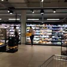 Jumbo Dieren