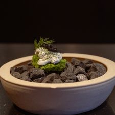Restaurant Promessa - Gastronomisch food atelier