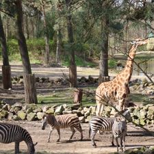 Burgers' Zoo