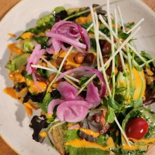 Barista Cafe Veenendaal