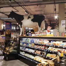 Jumbo Foodmarkt Groningen