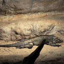 Dierenpark de Oliemeulen